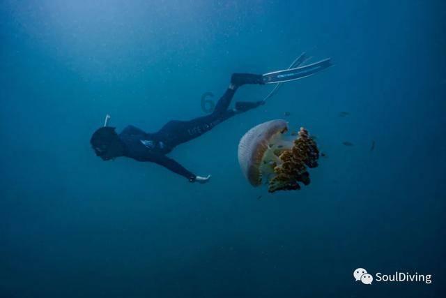 红海航运危机扰乱贸易 欧洲主要经济体面临供应链逆风